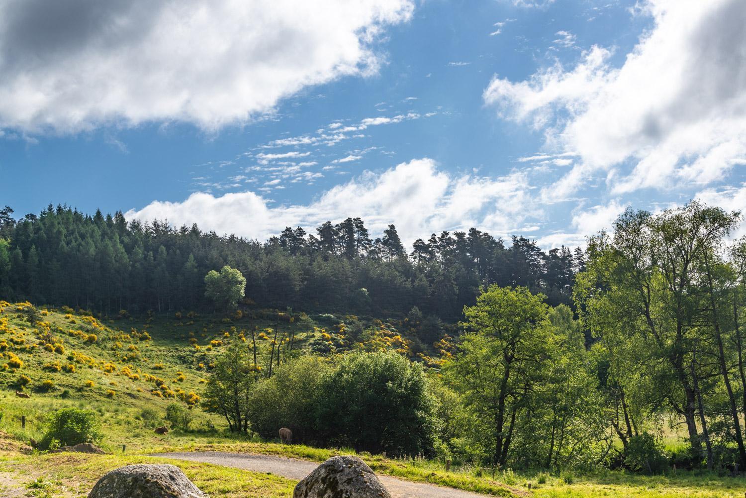 Gite De La Grange - Domaine De Coulagnettes Serverette Eksteriør billede
